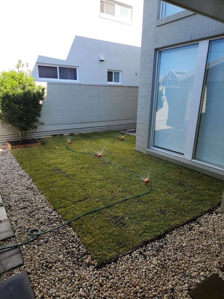 Green Lawn Bordered by a Sidewalk and Street With Parked Cars — Mow & Mulch Lawn & Garden Maintenance In Salamander Bay, NSW