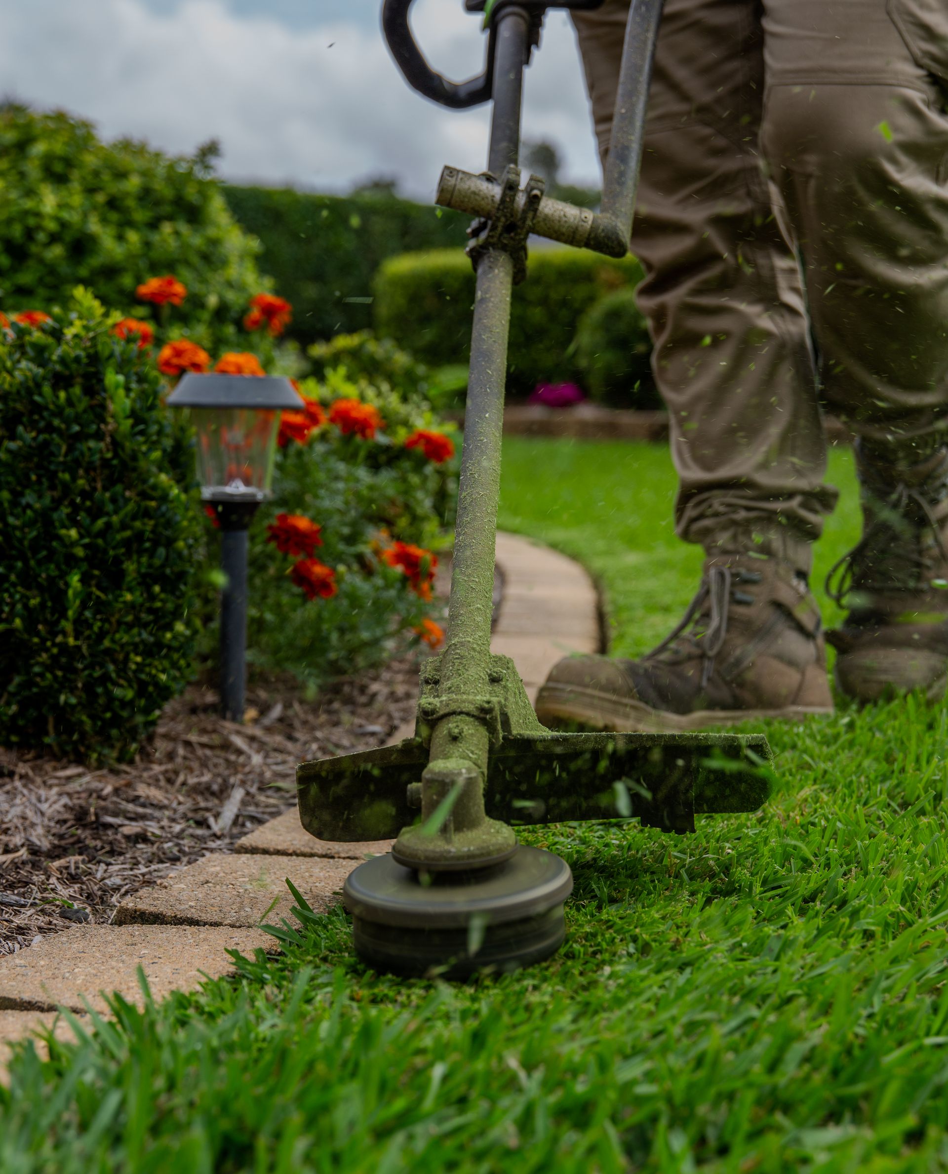 Well-Manicured Green Lawn Next to a Street With Parked Cars, a Light Pole, and Houses in the Background — Mow & Mulch Lawn & Garden Maintenance In Soldiers Point, NSW
