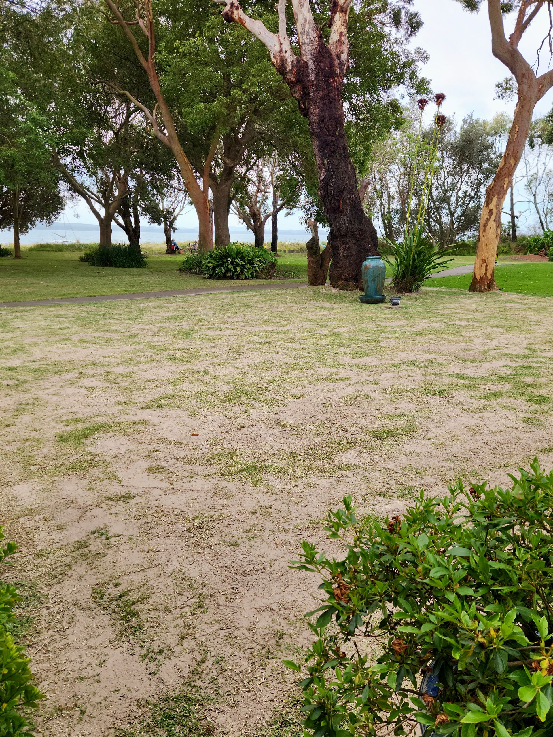 Freshly Mowed Lawn With Alternating Light and Dark Green Stripes — Mow & Mulch Lawn & Garden Maintenance In Soldiers Point, NSW