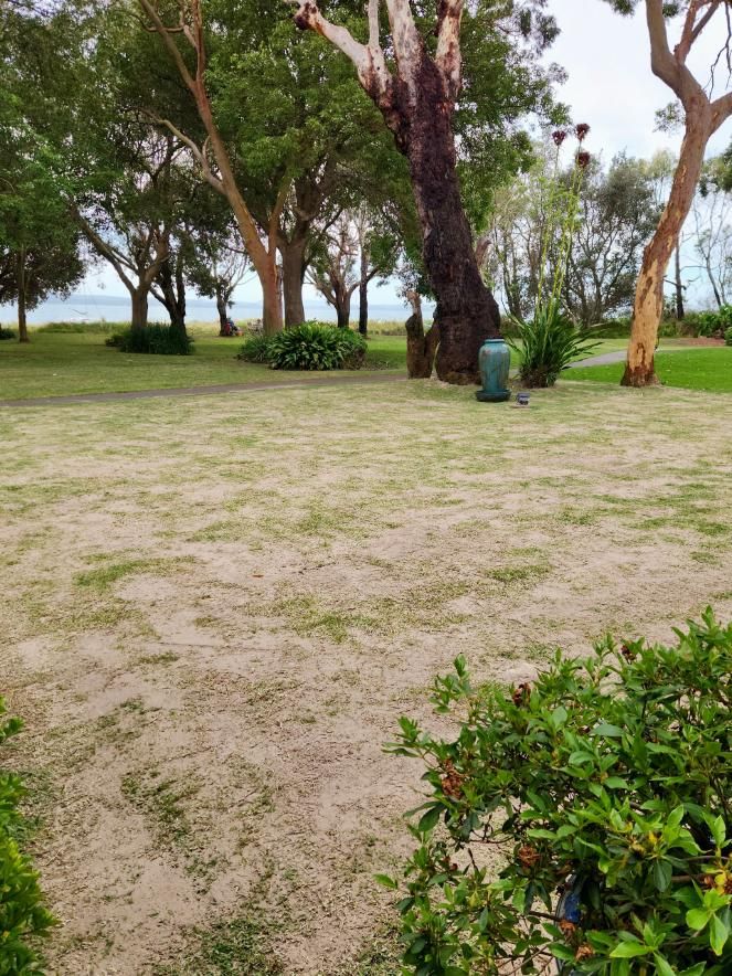 Freshly Mowed Lawn With Alternating Light and Dark Green Stripes — Mow & Mulch Lawn & Garden Maintenance In Soldiers Point, NSW