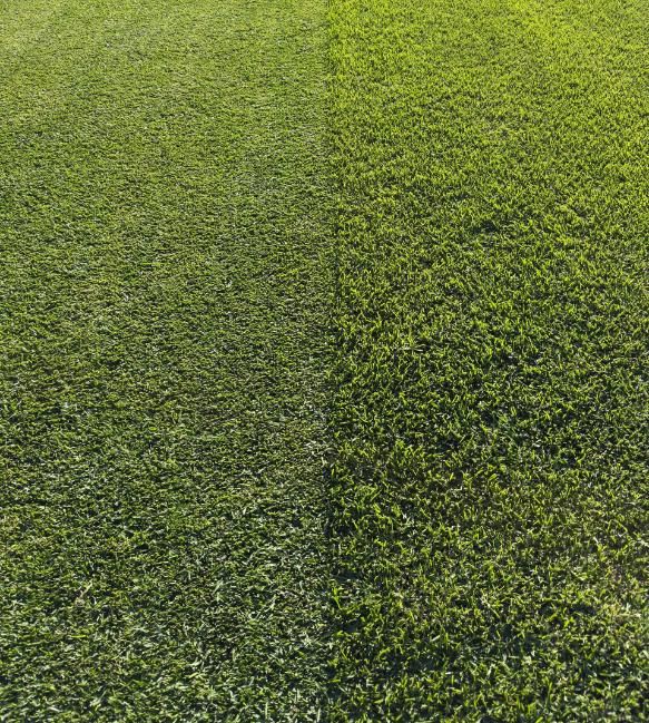 Ruler Measuring the Height of Green Grass  — Mow & Mulch Lawn & Garden Maintenance In Corlette, NSW