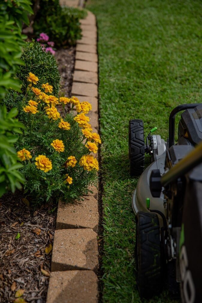 Yellow flowers lining a garden path beside a lawn mower on grass — Mow & Mulch Lawn & Garden Maintenance In Nelson Bay, NSW