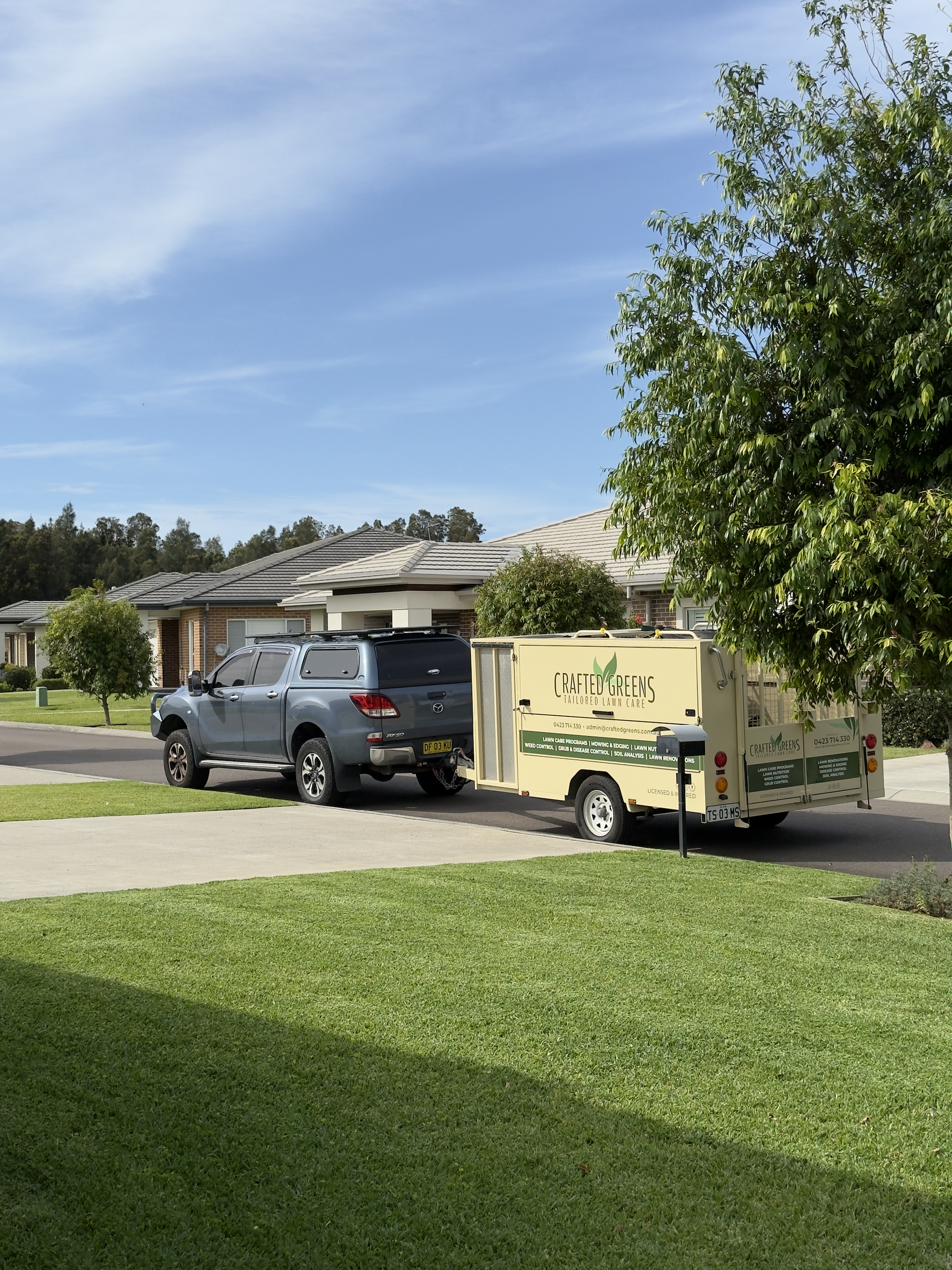 Lush Green Lawn and Palm Tree on a Sunny Day — Mow & Mulch Lawn & Garden Maintenance In Corlette, NSW