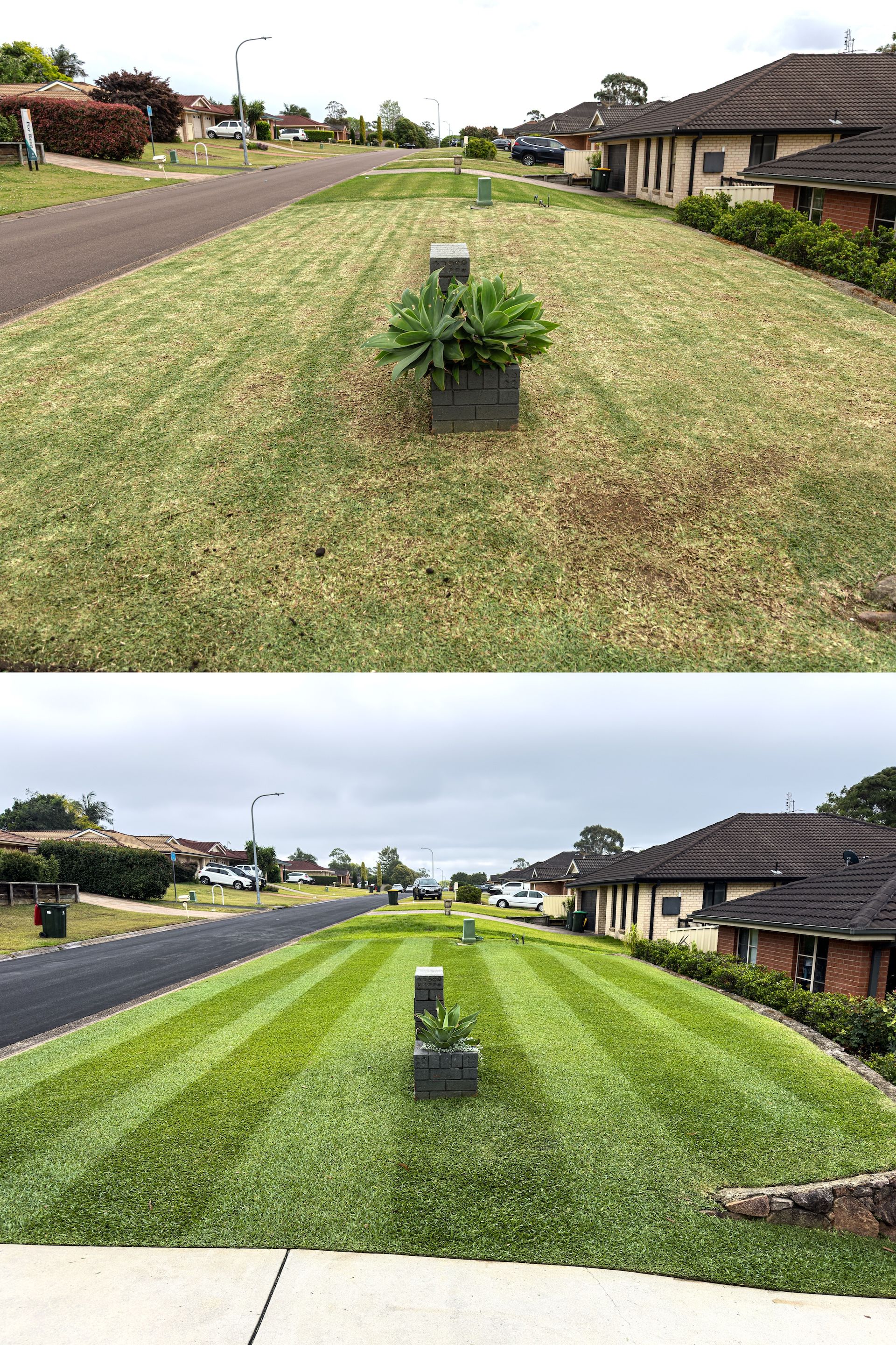 Lush Green Lawn With a Mailbox and Tree — Mow & Mulch Lawn & Garden Maintenance In Corlette, NSW