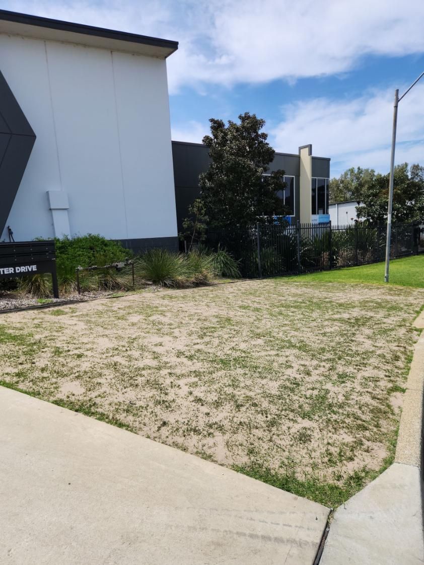 Green Lawn Next to Sidewalk, Street With Parked Cars — Mow & Mulch Lawn & Garden Maintenance In Corlette, NSW