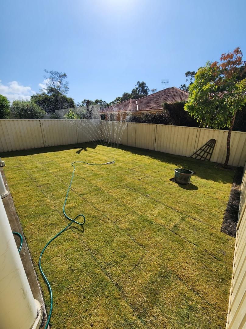 Well-manicured Green Lawn With Lawn Stripes, Bordered by Concrete and Fence — Mow & Mulch Lawn & Garden Maintenance In Corlette, NSW