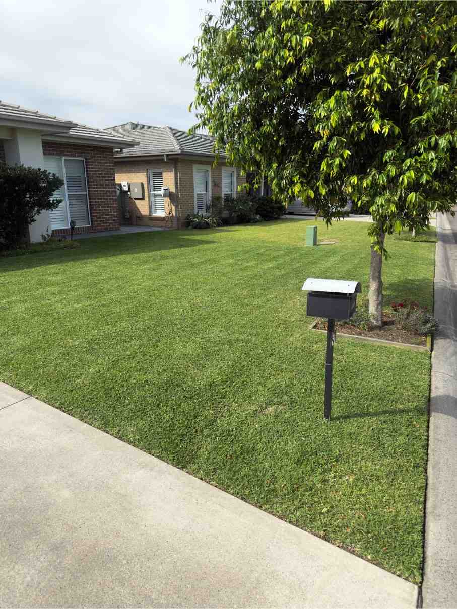 Lush Green Lawn in Front of a Row of Tan Brick Houses — Mow & Mulch Lawn & Garden Maintenance In Medowie, NSW