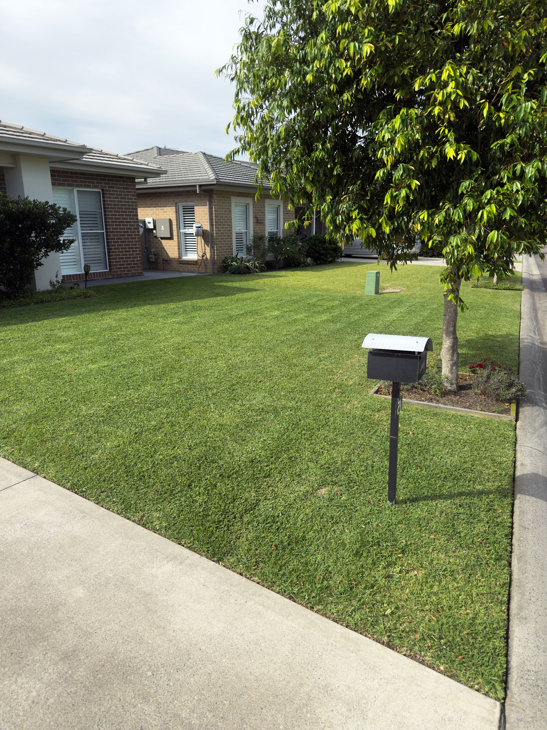 Lawn in Front of Row Houses With Green Grass, Mailbox, and Tree — Mow & Mulch Lawn & Garden Maintenance In Corlette, NSW