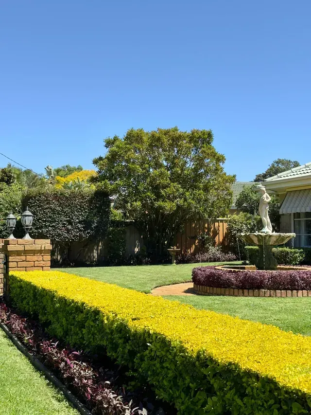 Sunny suburban garden with manicured lawn, colourful hedges, and a large tree by a house — Mow & Mulch Lawn & Garden Maintenance In Nelson Bay, NSW