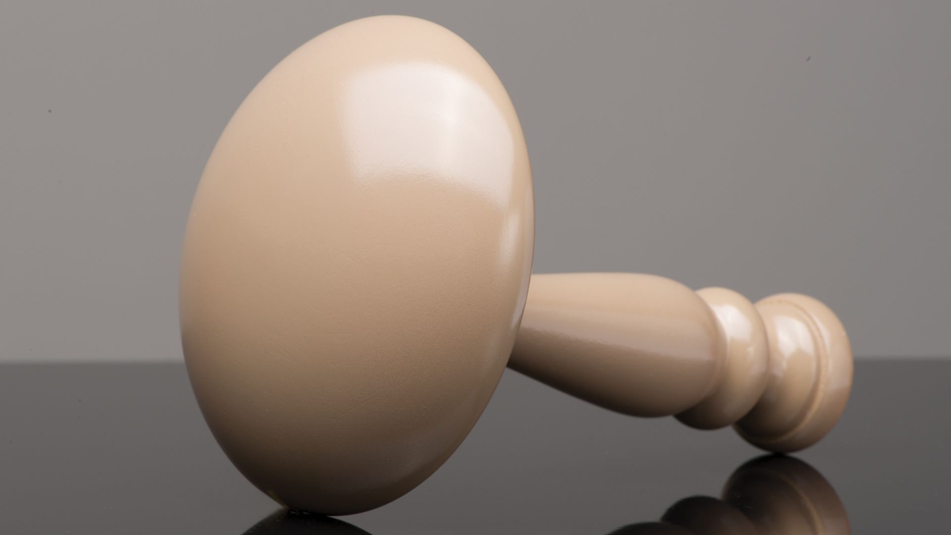 Beige wooden toy shapes on a gray reflective surface, with a large oval piece in front.