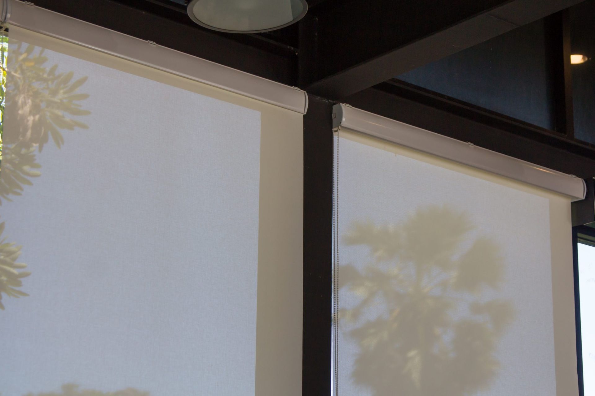 Two white window shades with soft tree shadows in a room