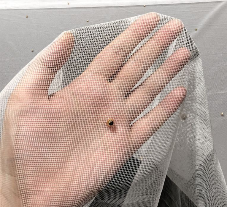 Hand holding a small black ladybug on a white mesh fabric background