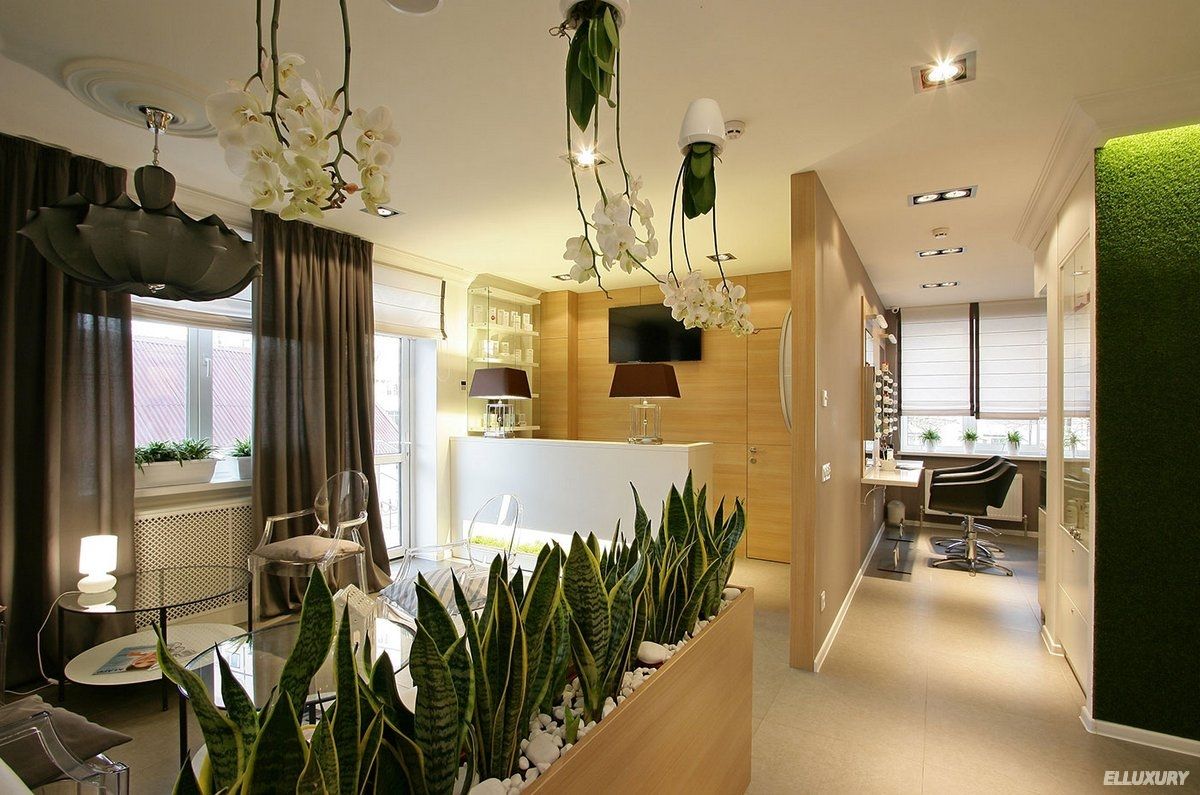 Modern open-plan apartment interior with plants, wood accents, and dining area