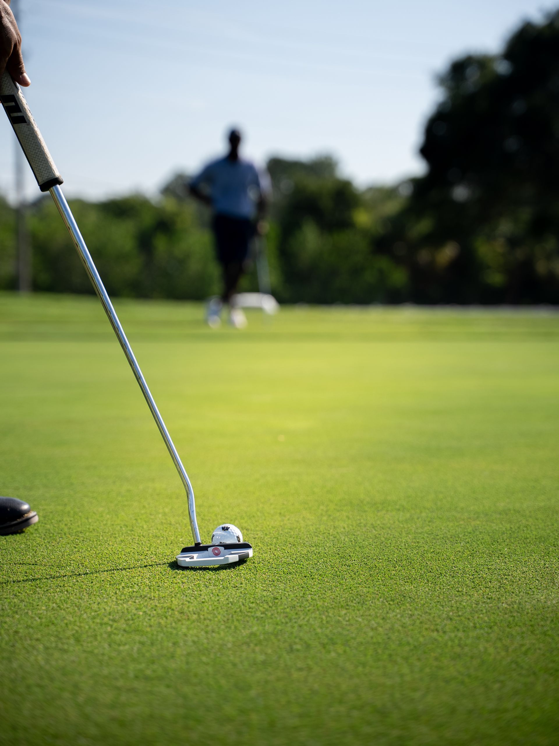 Golfer putting on green, another person in the background; sunny outdoor setting.
