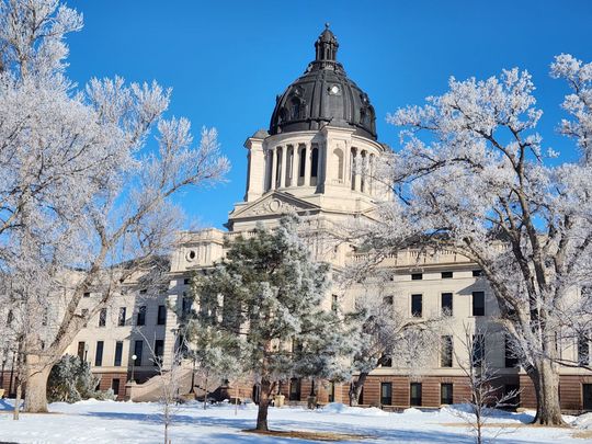 The capitol building is covered in snow and trees are covered in snow.
