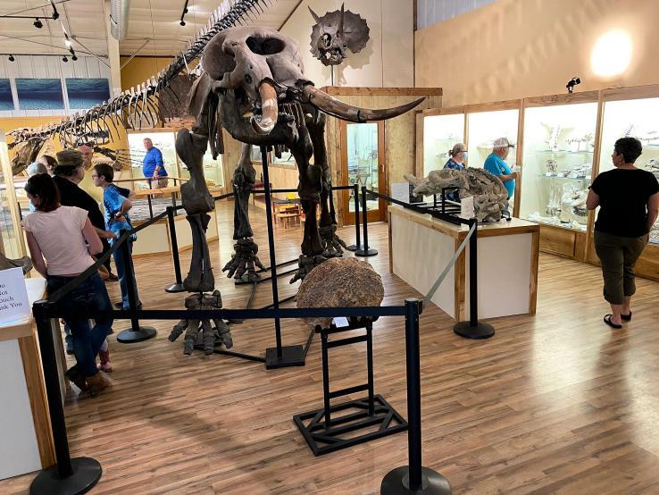 Image of World Fossile Finder Museum