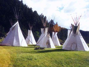 A group of teepees are sitting on top of a lush green field.