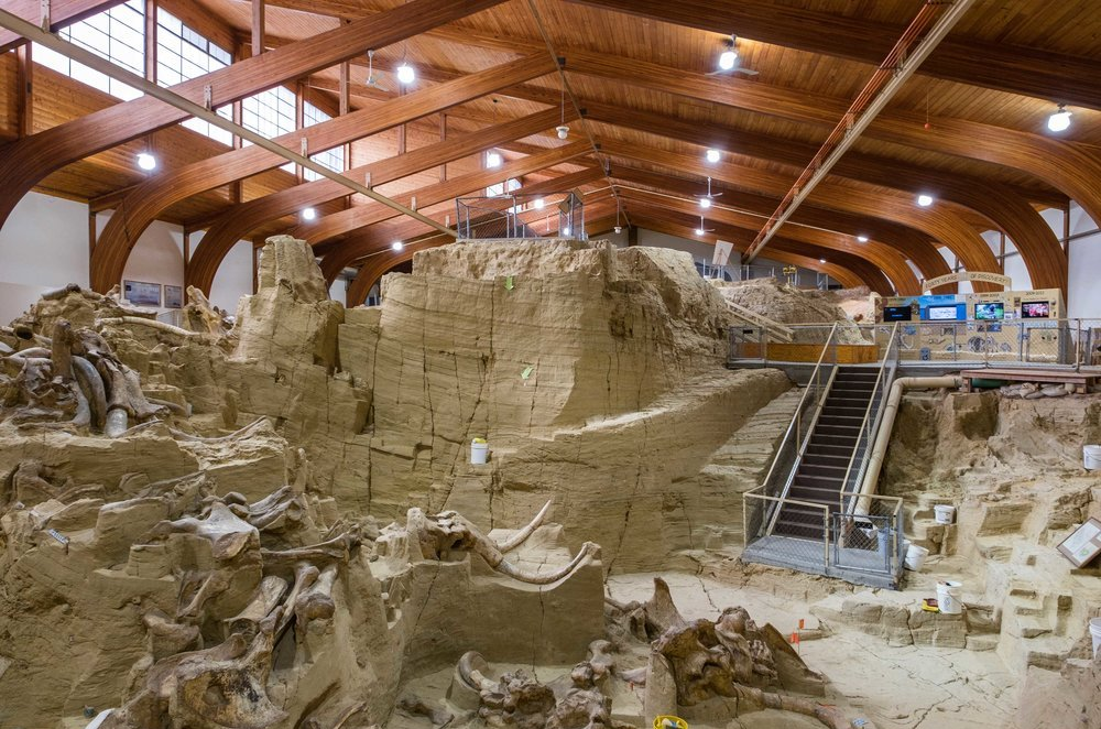 Interior Image of Mammoth site