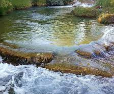 A river flowing over rocks in the middle of a forest.
