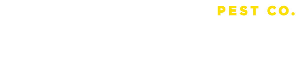 A white background with yellow text that says pest co.