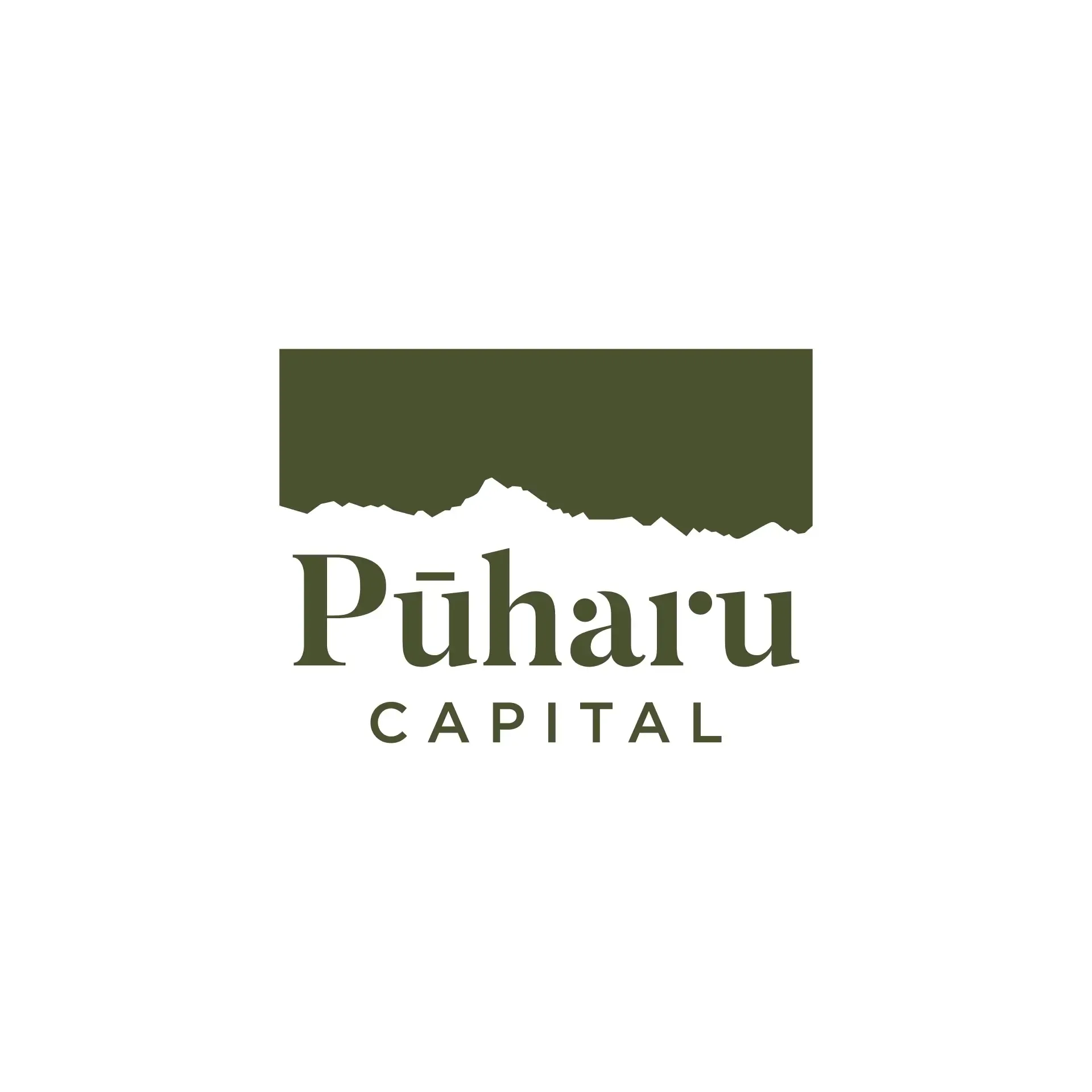 Pūharu Capital - Logo Designed by Vanilla Hayes