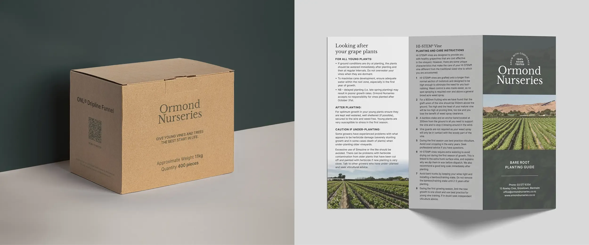 Ormond Nurseries branding by Vanilla Hayes Ltd in Blenheim, New Zealand