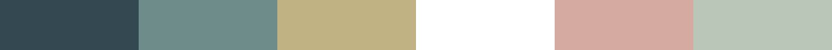 Congratulations branding by Vanilla Hayes Ltd in Blenheim, New Zealand