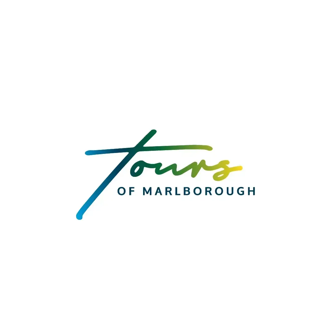 Tours of Marlborough logo designed By Vanilla Hayes