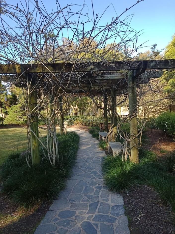 A Stone Walkway Leading To A Pergola In A Park — Top Point Café In East Gosford, NSW