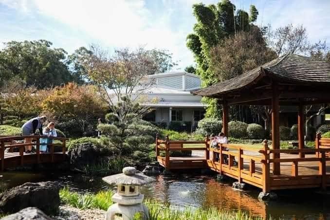 A Couple Of People Are Standing On A Bridge Over A Pond In A Garden — Top Point Café In East Gosford, NSW