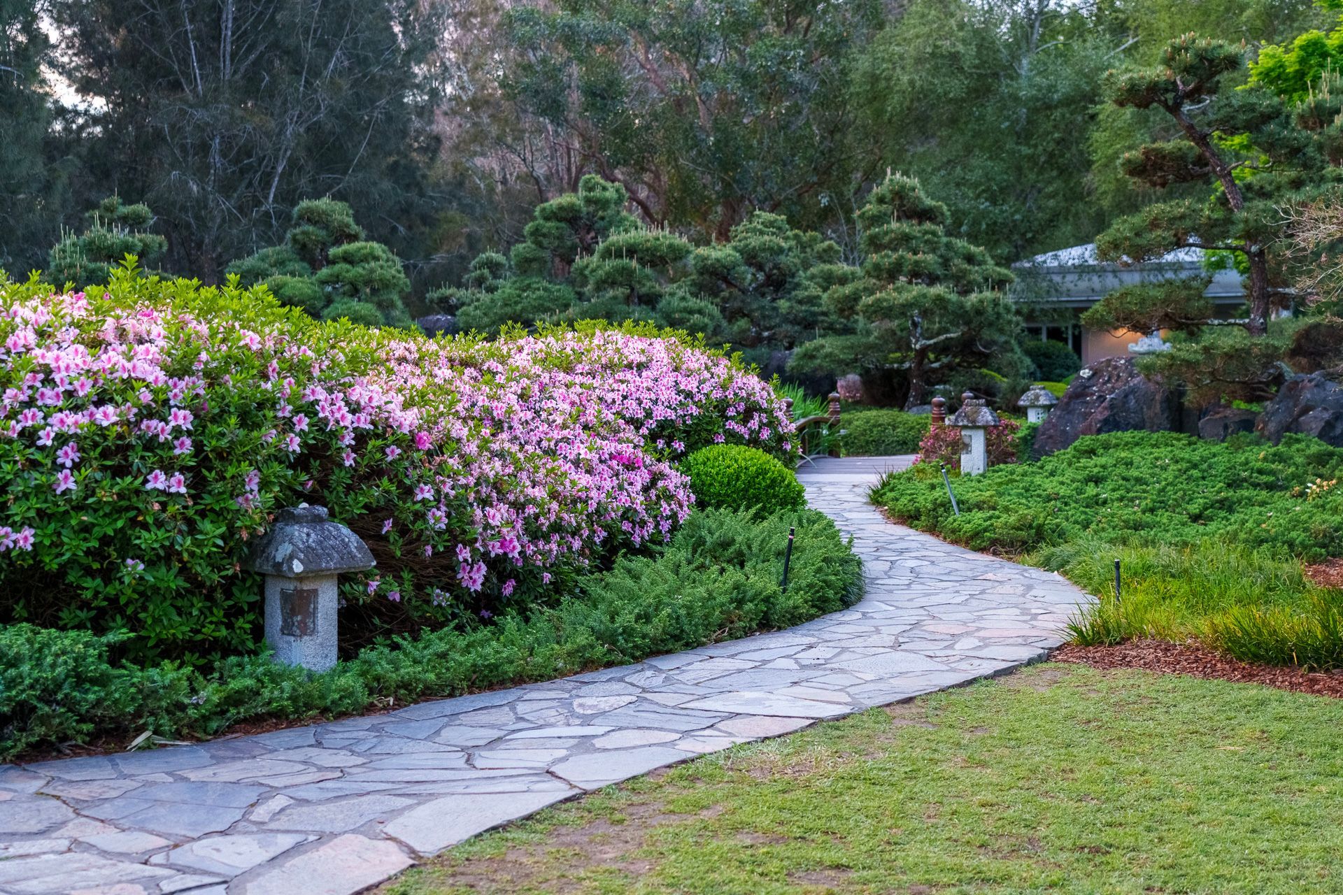 Curved stone path through a lush garden with pink flowers and lanterns — Top Point Café In East Gosford, NSW