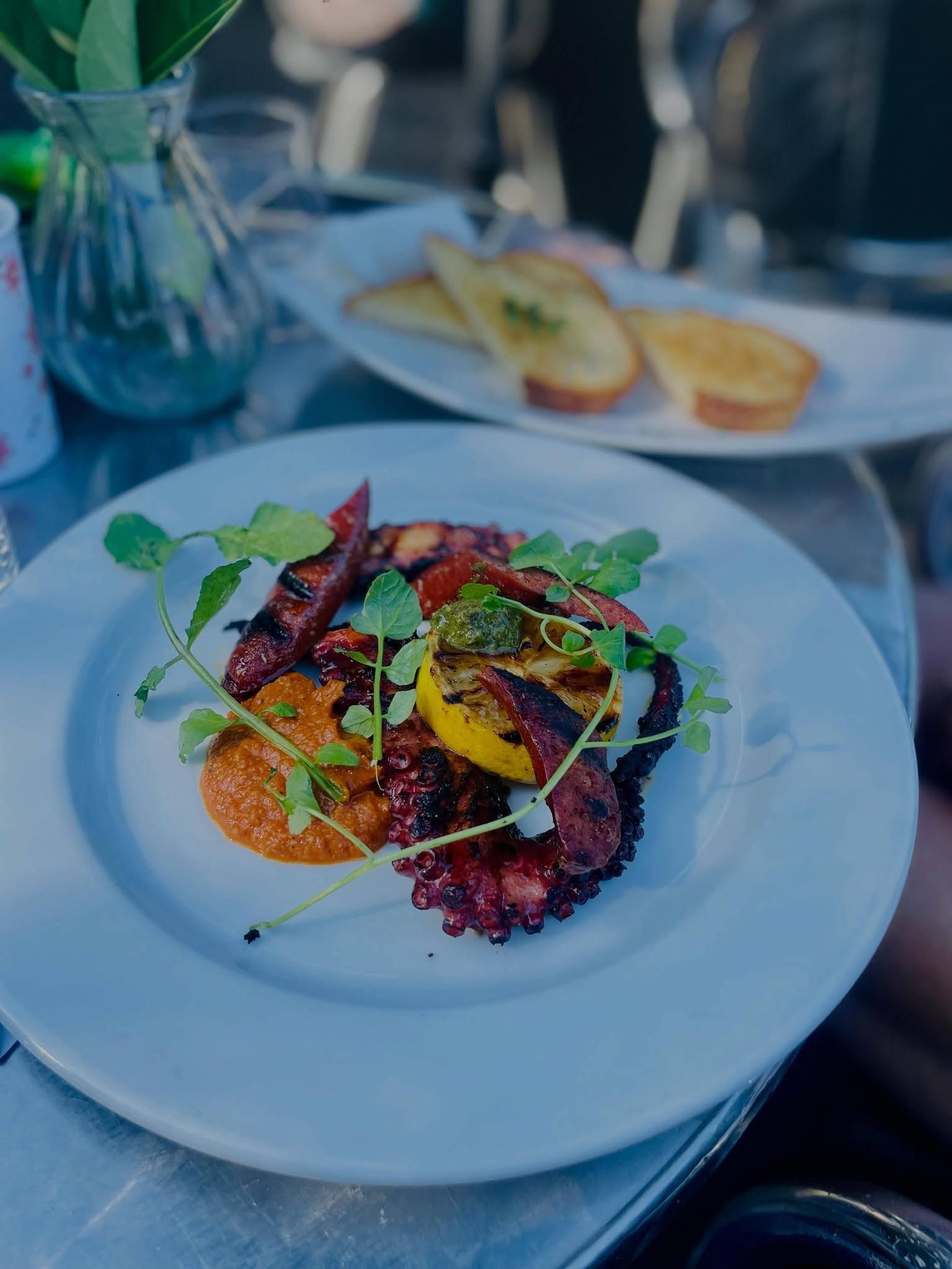 Plated gourmet salad with grilled vegetables and herbs on a white plate at a restaurant table — Top Point Café In East Gosford, NSW