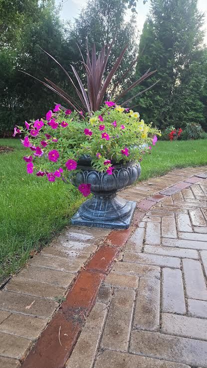 Potted pink and yellow flowers beside a wet brick walkway in a garden