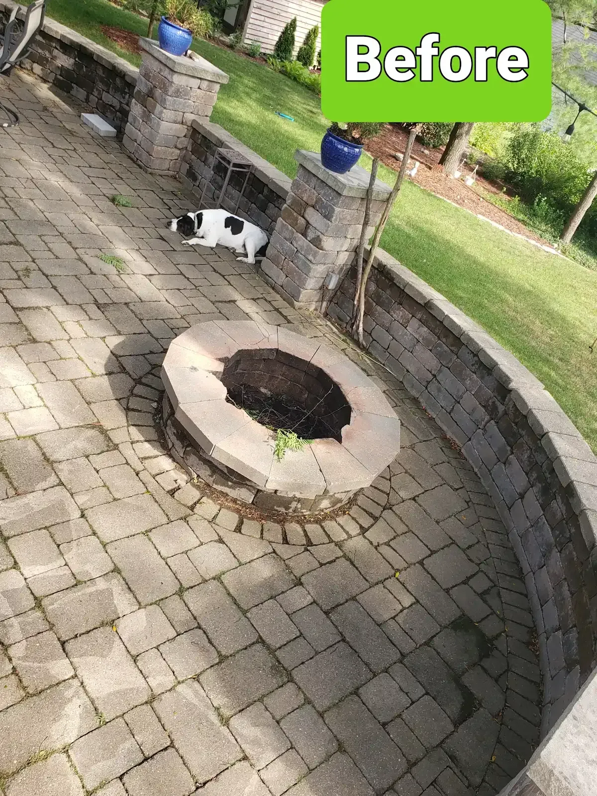 Backyard patio with curved stone wall, fire pit, and a black-and-white cat near the wall.