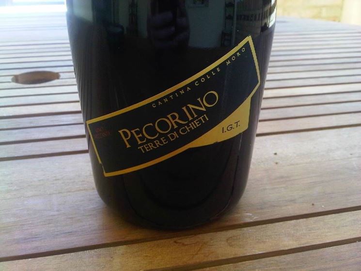 vino Pecorino