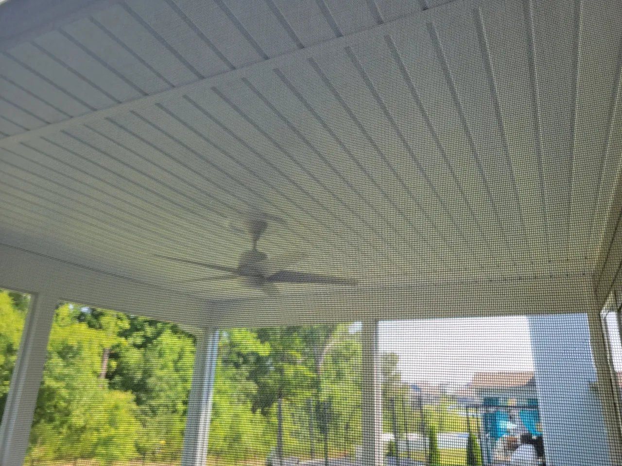 Wire mesh ceiling under a covered porch with sunlight and trees visible beyond the structure