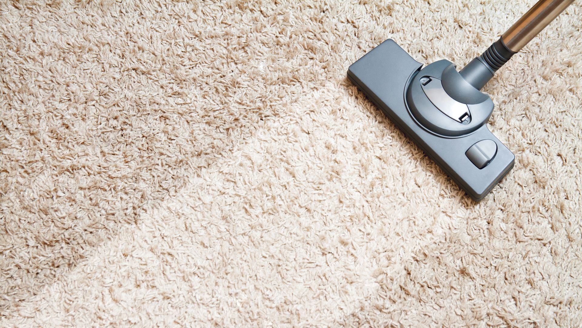 Vacuum cleaner head on beige carpet