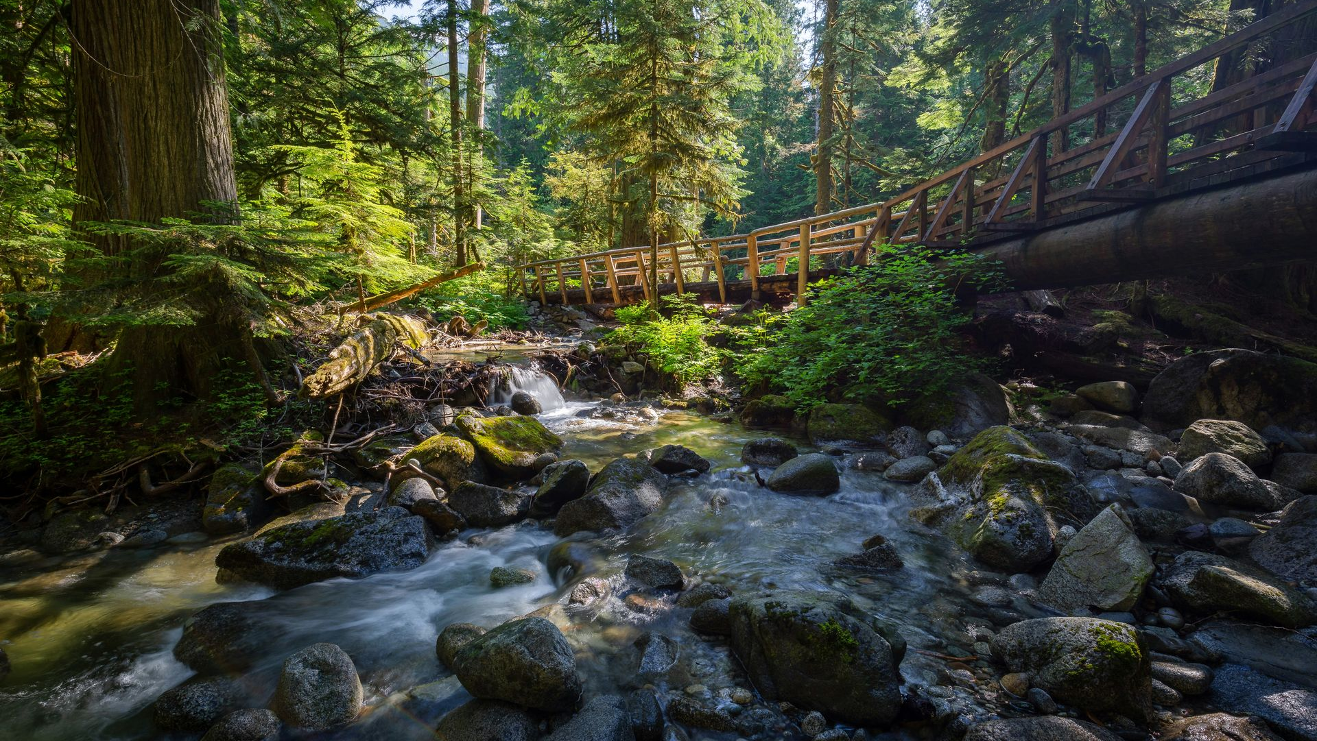 Forest stream with rushing water, mossy rocks, and a wooden bridge under tall trees
