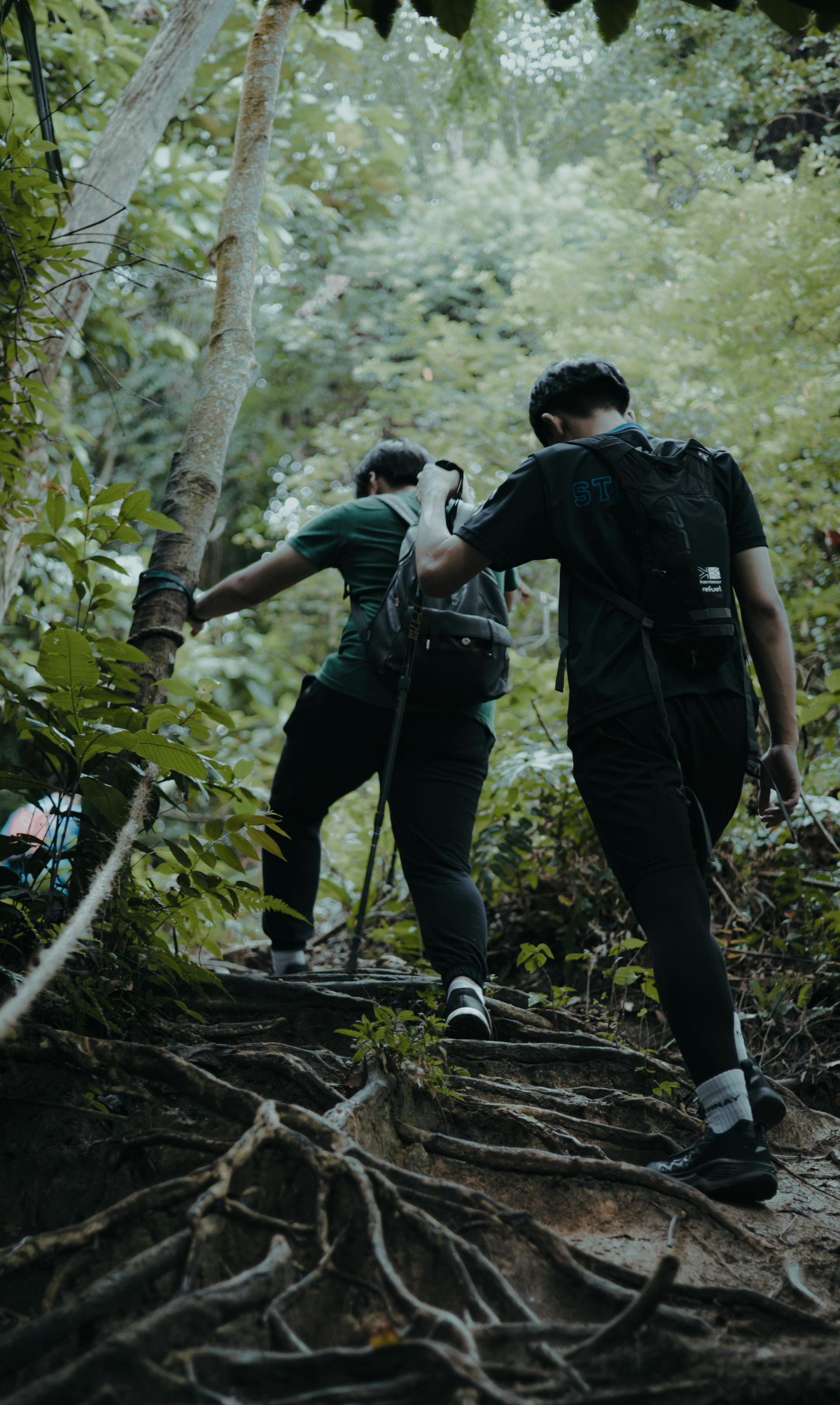 Two hikers with backpacks climbing a muddy forest trail among tall green trees.