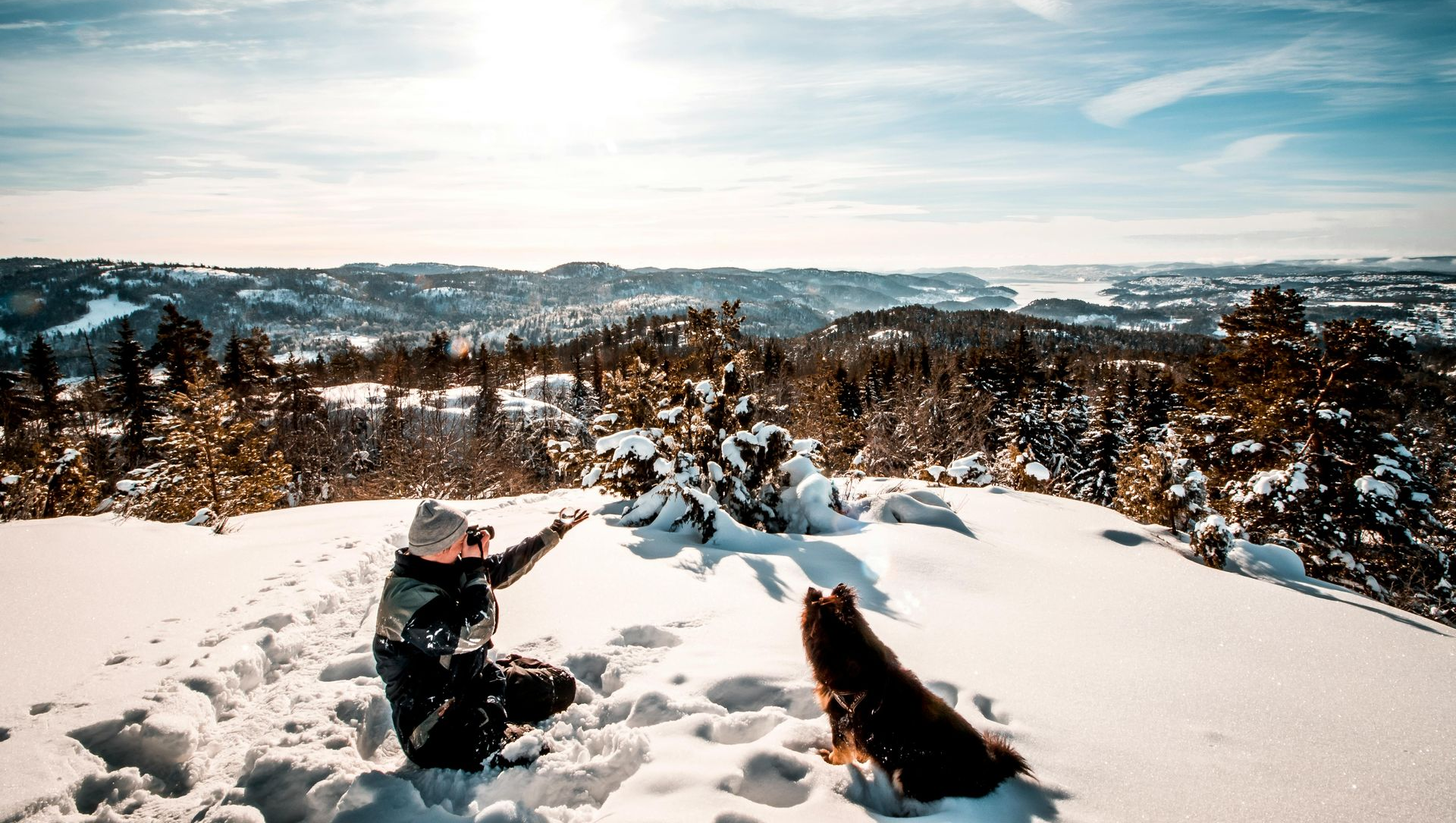 a dog and a man on a snowy hill overlooking a winter landscape under a bright blue sky
