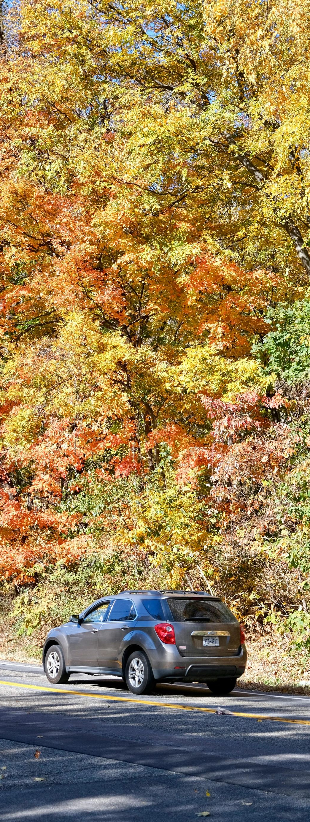 Gray SUV parked on a road beside trees with orange and yellow autumn leaves