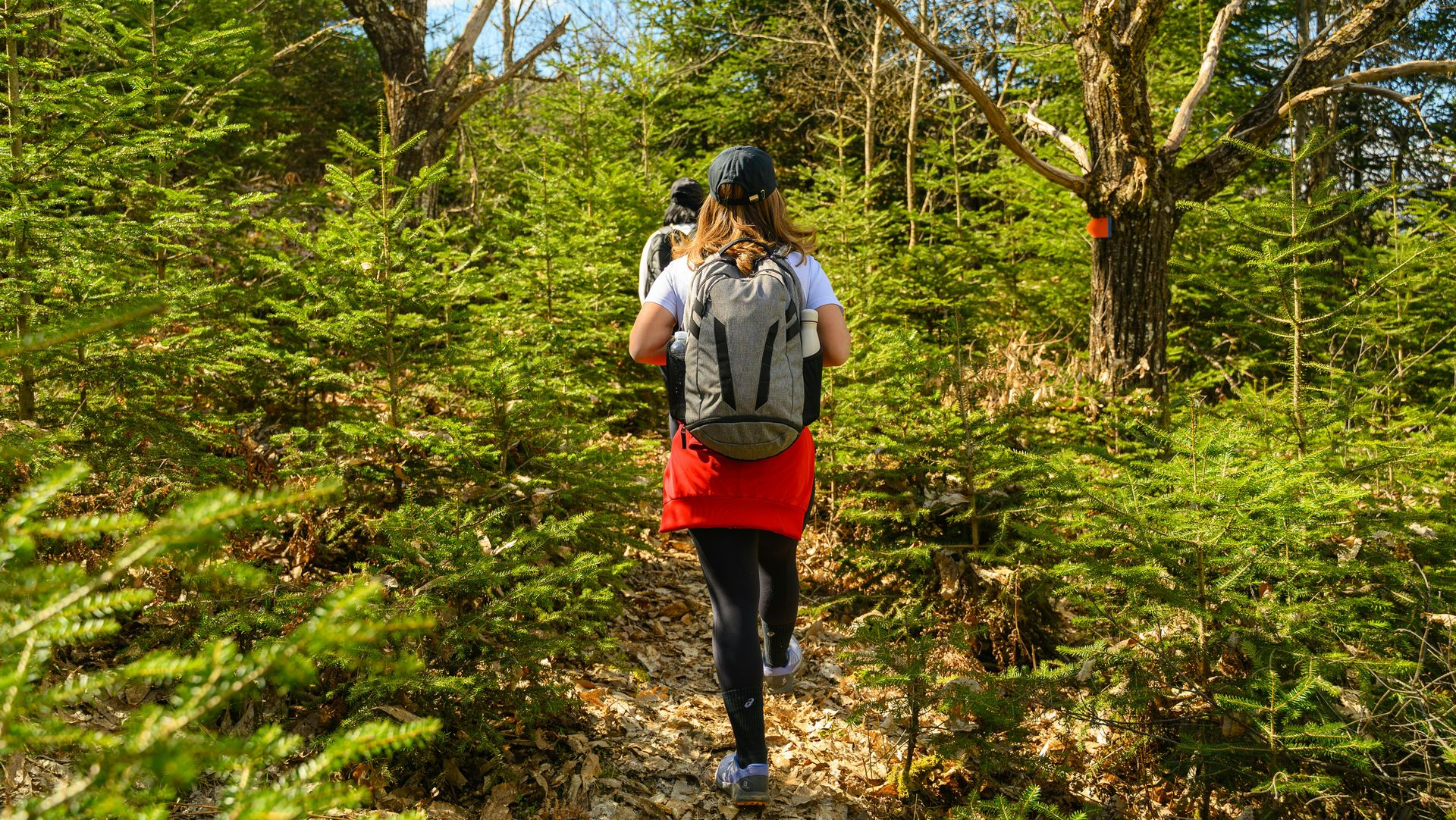 Hiker with backpack and red jacket walking through a sunlit forest trail