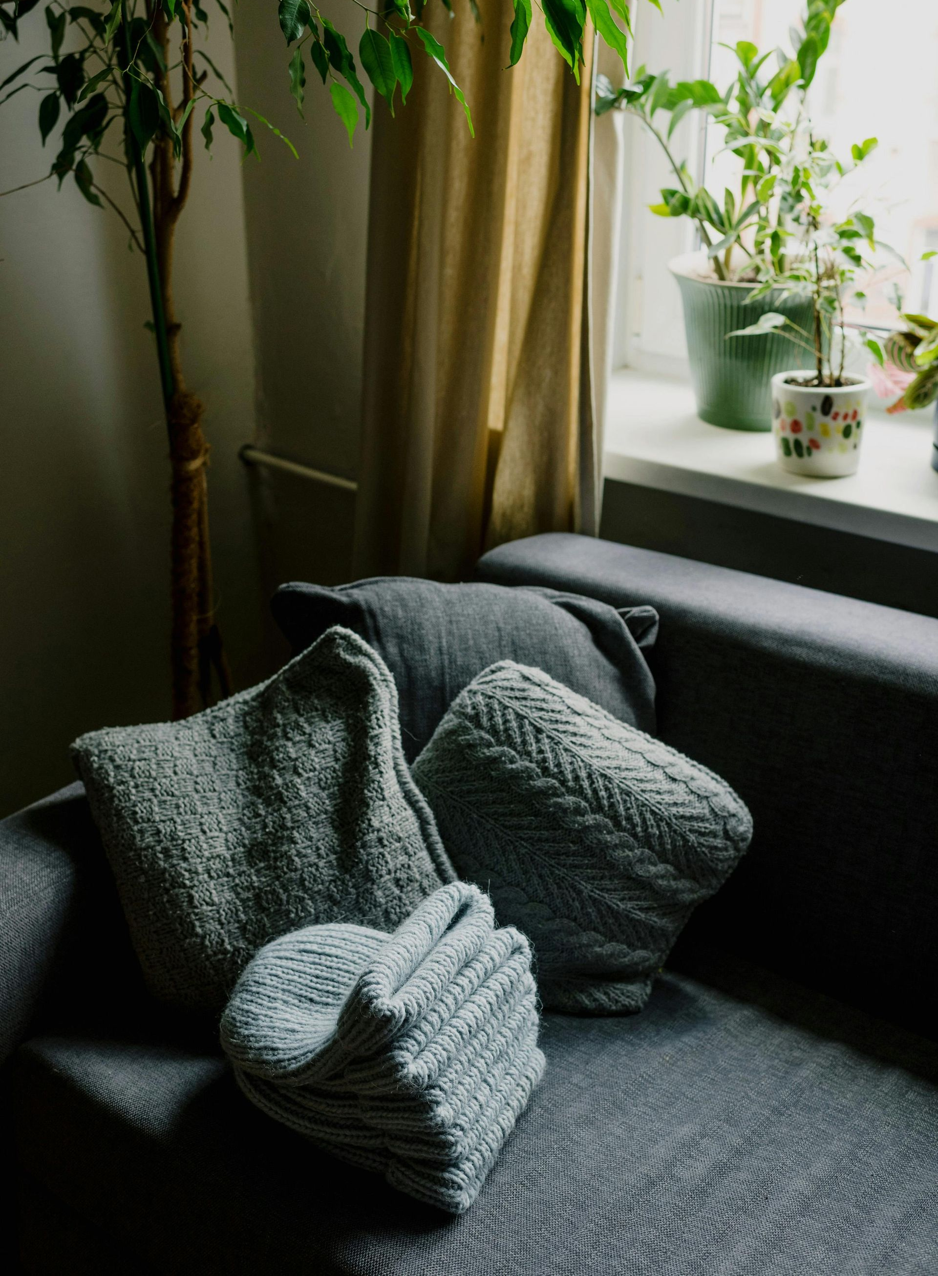Cozy gray sofa with textured pillows by a sunlit window with potted plants and curtains