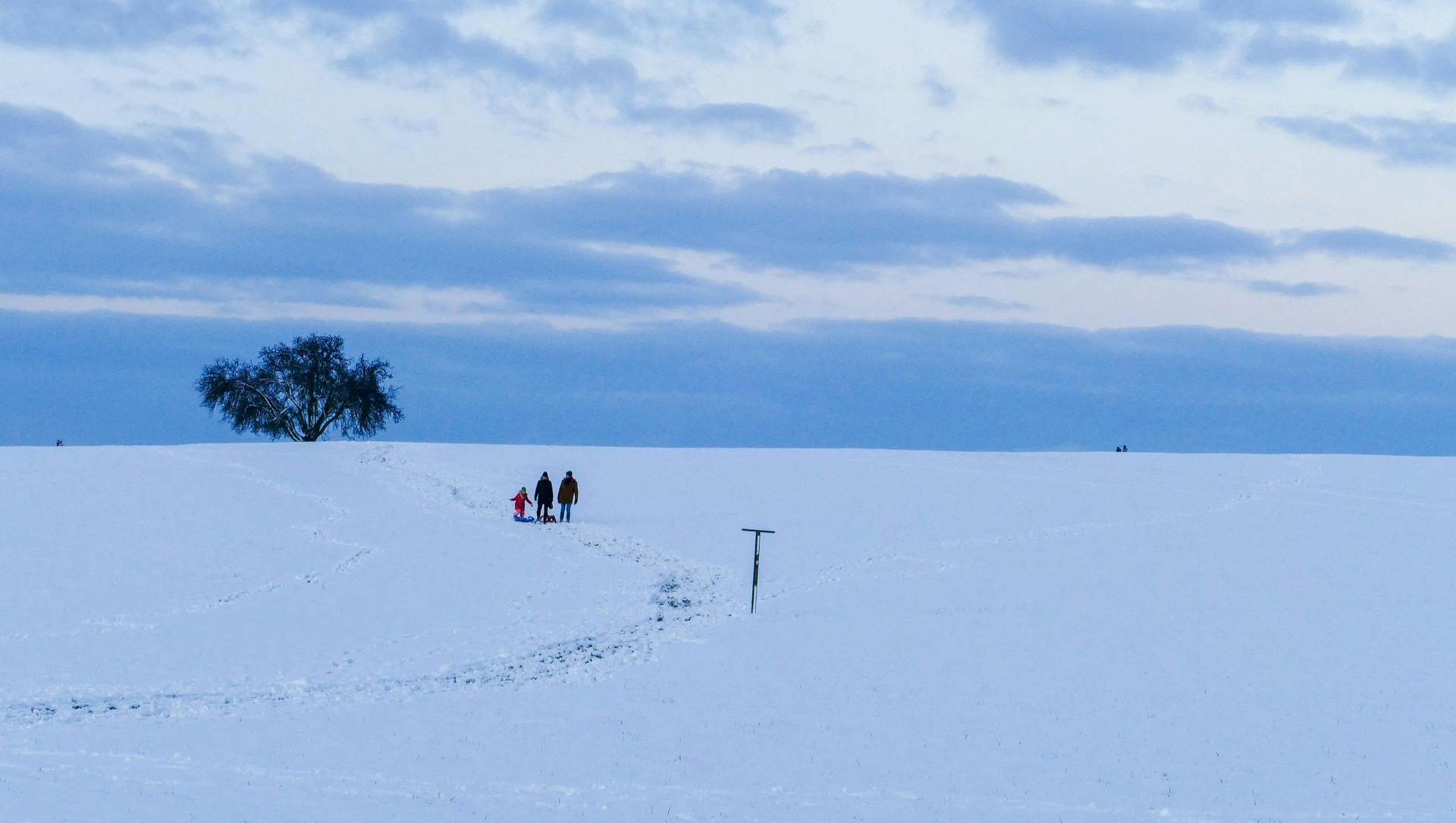 Snowy field under a blue cloudy sky with a small group near a lone tree