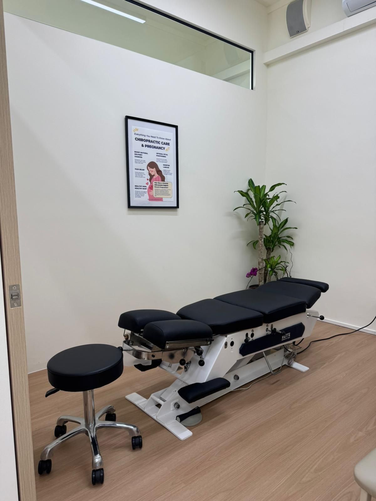 Examination room with black treatment table, stool, wall poster, and potted plant