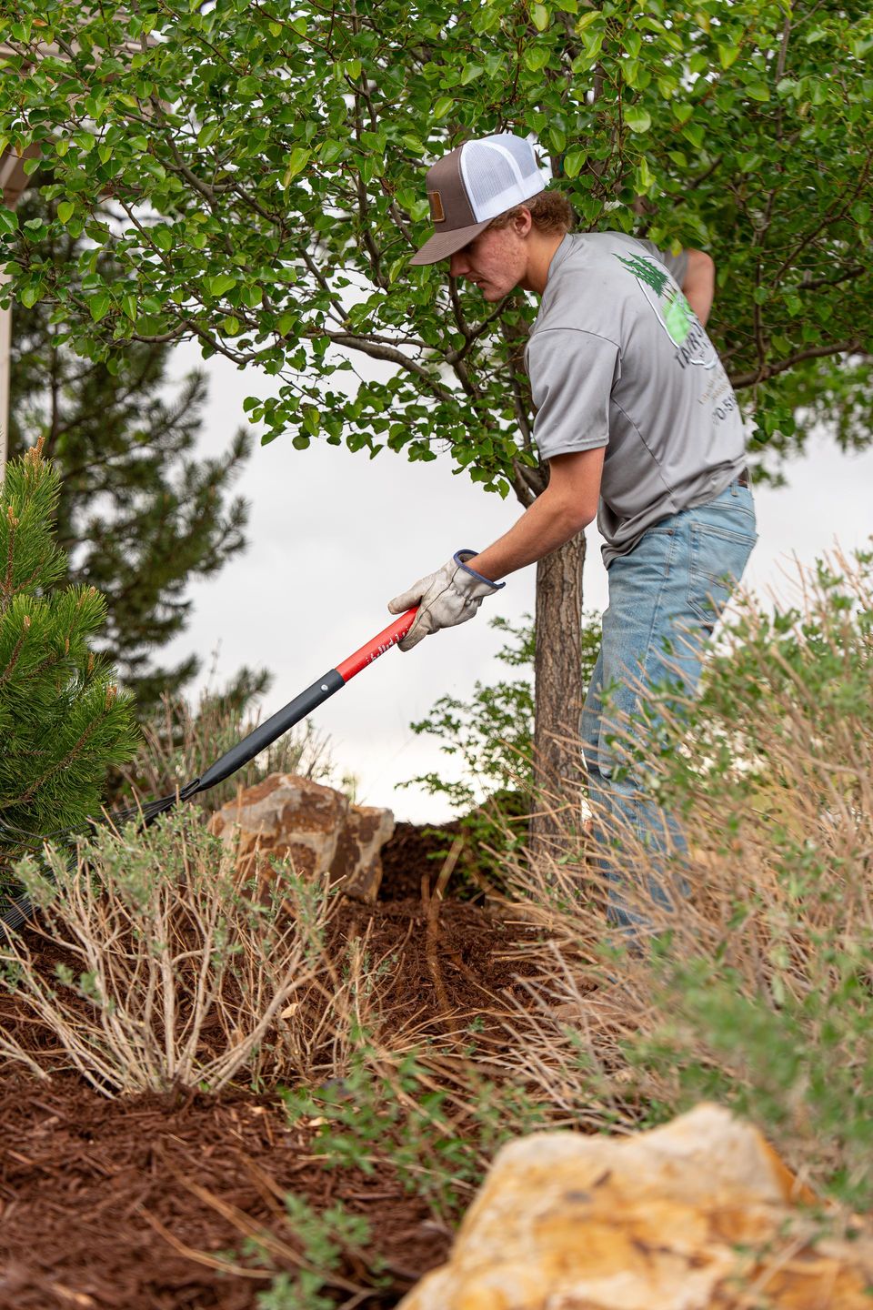Lawn care project 9