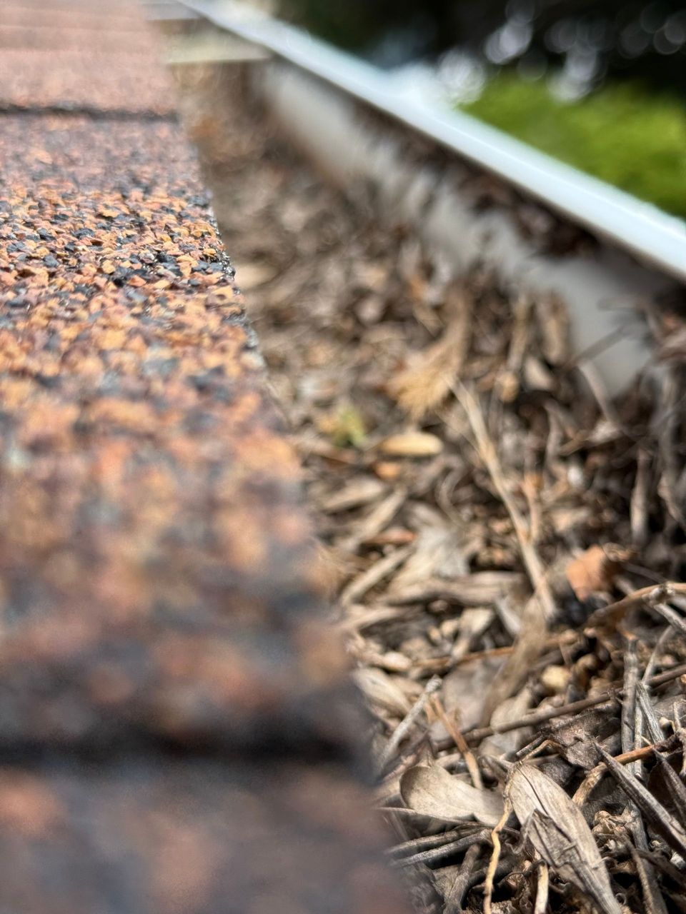 Gutter filled with leaves