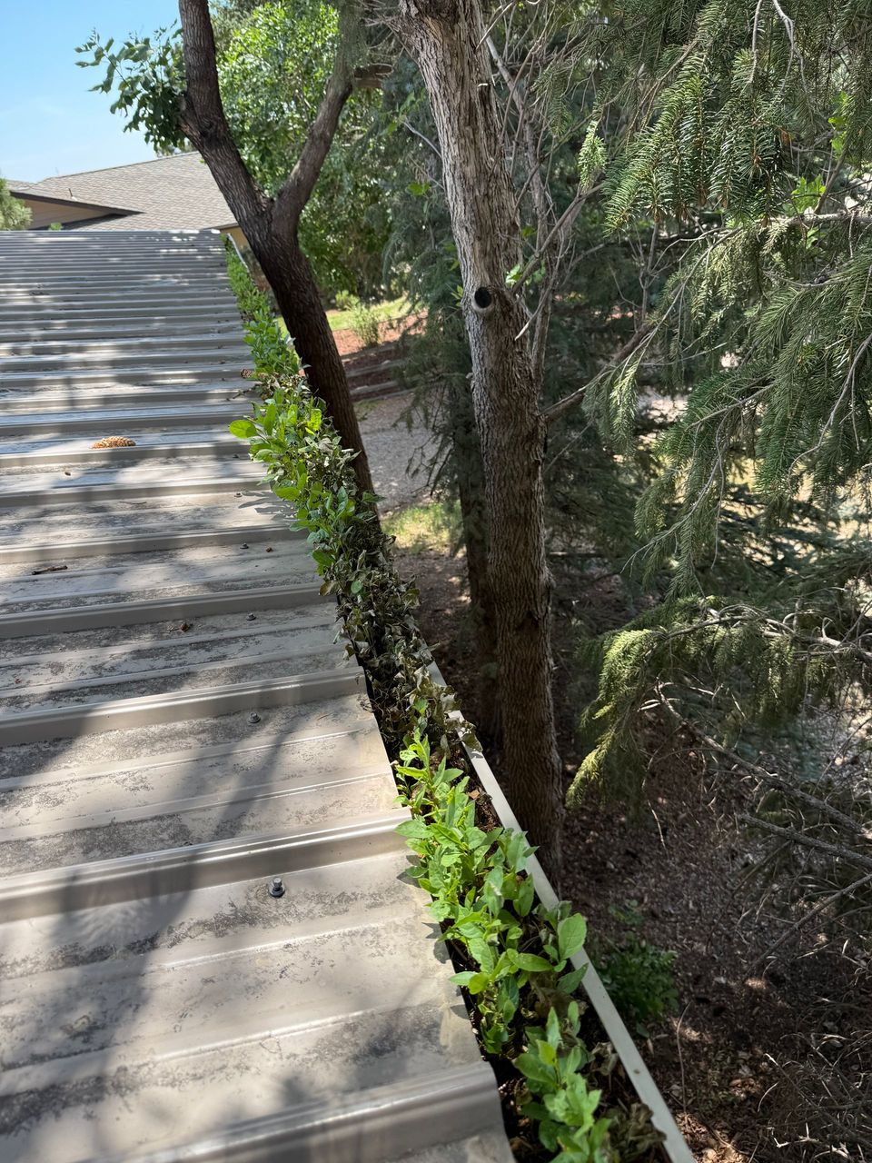 Property maintenance project