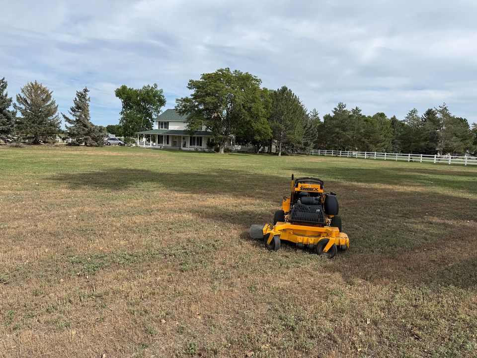 Lawn care project