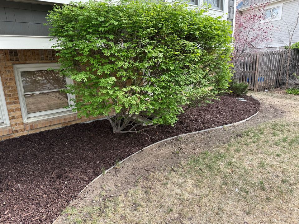Irrigation project 7